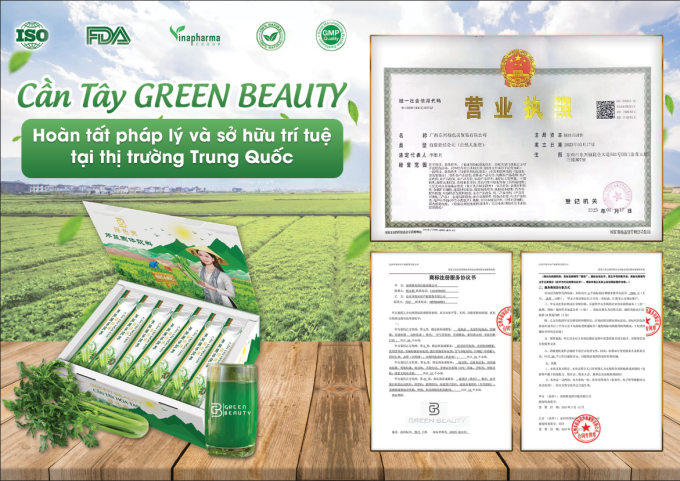 Cần Tây Green Beauty Mẫu Mới – Hộp 36 Gói – Giữ Dáng, Đẹp Da